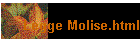 Legge Molise.html