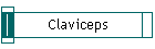 Claviceps