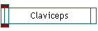 Claviceps