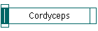 Cordyceps
