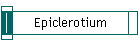 Epiclerotium