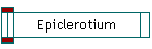 Epiclerotium