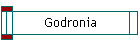 Godronia