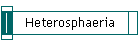Heterosphaeria