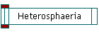 Heterosphaeria