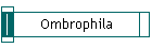 Ombrophila