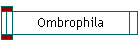 Ombrophila