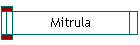 Mitrula