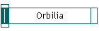 Orbilia