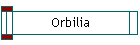 Orbilia