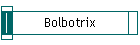 Bolbotrix