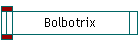 Bolbotrix