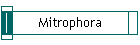 Mitrophora