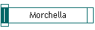 Morchella