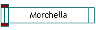 Morchella