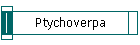 Ptychoverpa