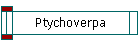 Ptychoverpa