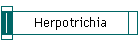 Herpotrichia