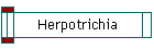 Herpotrichia
