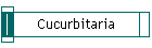 Cucurbitaria