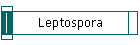 Leptospora