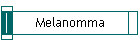 Melanomma