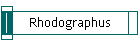 Rhodographus