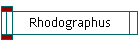 Rhodographus
