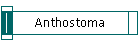 Anthostoma