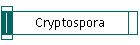Cryptospora
