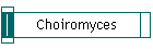 Choiromyces