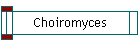 Choiromyces