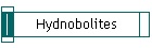 Hydnobolites