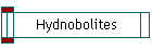 Hydnobolites