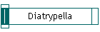 Diatrypella