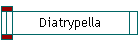 Diatrypella