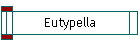 Eutypella