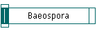 Baeospora