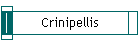 Crinipellis