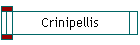 Crinipellis