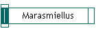 Marasmiellus