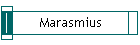 Marasmius