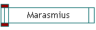 Marasmius