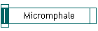Micromphale