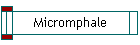 Micromphale