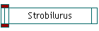 Strobilurus