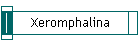 Xeromphalina