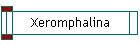 Xeromphalina