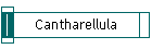 Cantharellula