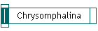 Chrysomphalina